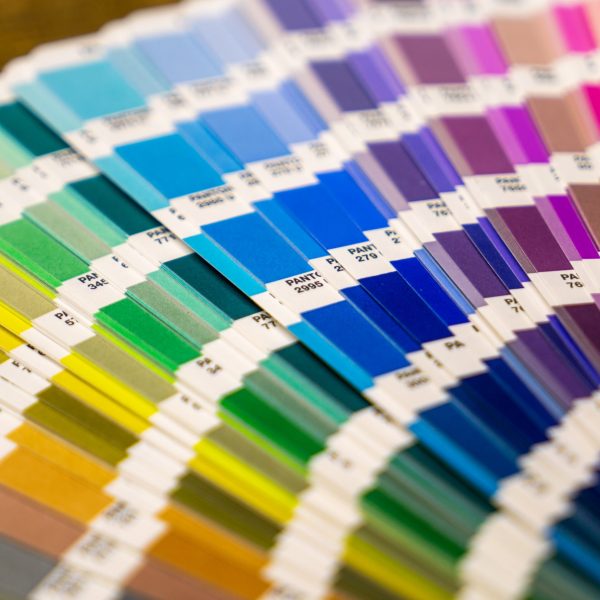 mika-baumeister-PtabTe6iJ_8-unsplash mika-baumeister-PtabTe6iJ_8-unsplash